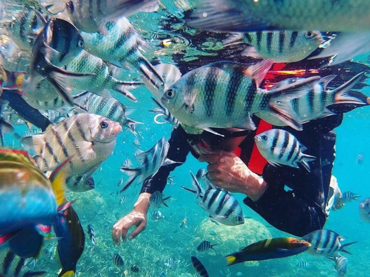 Delima Redang Resort Dış mekan fotoğraf